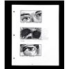 Image 21 : Lot # 1011: THE SERPENT AND THE RAINBOW (1988) - Wes Craven's Collection of Hand-Drawn Storyboards