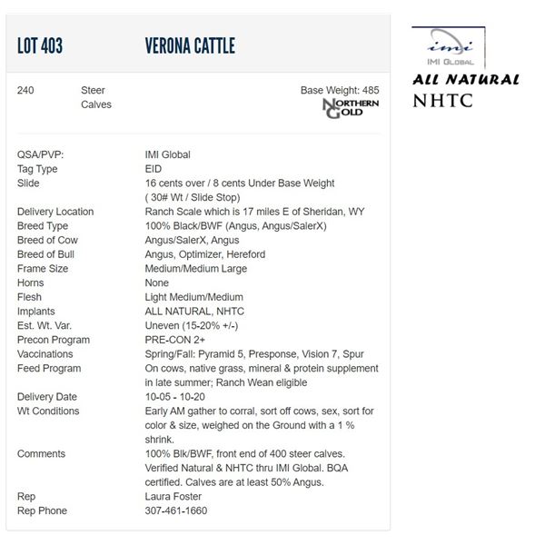 Verona Cattle - 240 Steers  / Base Weight: 485