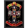 Image 1 : Signed Guns N Roses "Appetite for Destruction" Poster