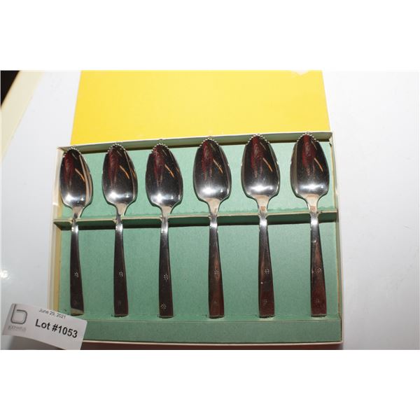 GRAPEFRUIT SP0ON SET