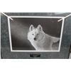 Image 2 : Framed "White Wolf Of Thompson" Limited Edition #'d Print by Owen Garratt (Sask Artist)