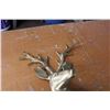 Image 2 : Brass Deer Hanging Ornament