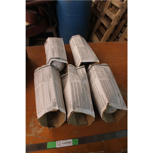5 Large Light Bulbs