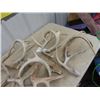 Image 2 : Approx 16 Deer Horn Sheds