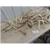 Image 3 : Approx 16 Deer Horn Sheds