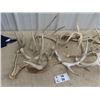 Image 2 : Approx 15 Deer Horn Sheds