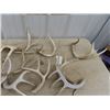 Image 3 : Approx 15 Deer Horn Sheds