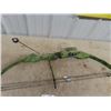 Image 3 : Accra Buckeye Compound Bow
