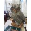Image 2 : Large Ceramic Owl, & Pictures