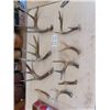Image 1 : 9 Deer Horn Sheds