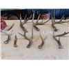 Image 2 : 9 Deer Horn Sheds
