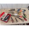 Image 1 : Tin Snips, Needle Nose Pliers, Riviter & Supply Scissor ,& Cutters,