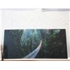 Image 1 : 3 Piece Capilano Bridge Acrylic Wall Art