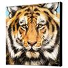 Image 2 : "Terrific Tiger" Limited Edition Giclee on Canvas by Martin Katon, Numbered and Hand Signed. This pi