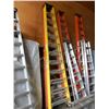 Image 1 : 12 Foot Ladder
