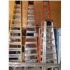 Image 1 : 12 Foot Ladder
