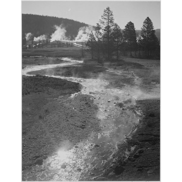 Adams - Central Geyser Basin, Yellowstone National Park, Wyoming