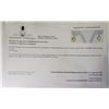 Image 4 : 14K White Gold Natural Lemonquartz(7.8ct) Earrings (~weight 2.06g), Made in Canada, Appraised Retail