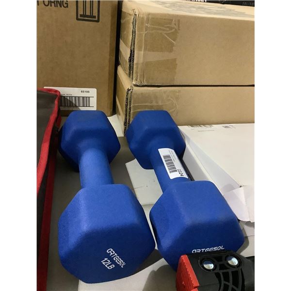 Arteesol Set of Two Dumbbells (12lbs)