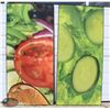 Image 1 : 2 FRAMED PICTURES OF FRESH VEGETABLES