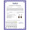Image 2 : Genuine 2.12 ctw Multi-gemstones Earrings 14KT White Gold - REF-42Z4N