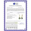 Image 2 : Genuine 17.5 ctw Green Amethyst Earrings 14KT Yellow Gold - REF-39A3K