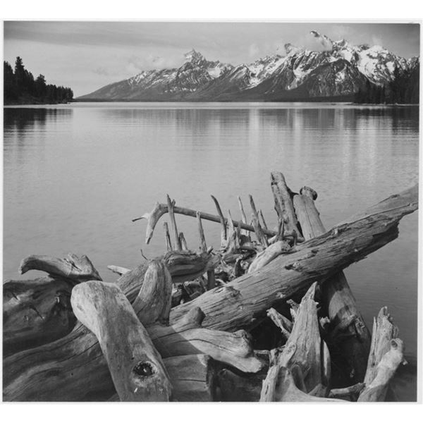 Adams - Jackson Lake in Grand Teton Wyoming