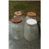 Image 1 : 4- I gallon jars
