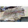Image 1 : Deer Pelt - 59"X45"