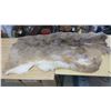 Image 2 : Deer Pelt - 59"X45"