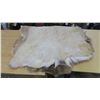 Image 5 : Deer Pelt - 59"X45"
