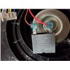 Image 3 : Fan Asynchronism motor YY020-804P01-901 CF20R-L 0.45A