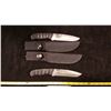 Image 1 : 2 Matching Knives With Sheathes