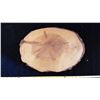 Image 3 : Live Edge Turtle Mountains Wood Plaque