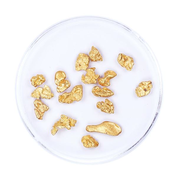 Lot of Gold Nuggets 2.77 Grams Total Weight