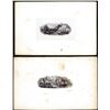 Image 1 : Lot of (2) 1800's Vignette from Original Proof Plates