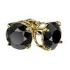 Image 3 : 2.60 ctw Fancy Black Diamond Solitaire Stud Earrings 10k Yellow Gold - REF-43W2H