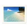 Image 1 : Dan Mackin, "Afternoon Swim" Limited Edition Lithograph, Numbered and Hand Signed with Letter of Aut