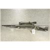 Image 8 : Marlin Darlin. Heavy Barrel Bolt Gun