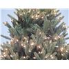 Image 3 : Artificial Full Size Christmas Tree w/ Lights