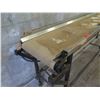 Image 2 : Rolling Metal Conveyor w/ US Electrical Syncrogear Motor 127"x22"x36"H