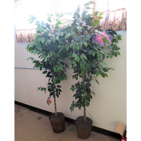 Qty 2 Artificial Trees in Straw Pots 74"H