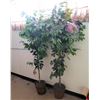 Image 1 : Qty 2 Artificial Trees in Straw Pots 74"H
