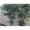 Image 3 : Qty 2 Artificial Trees in Straw Pots 74"H