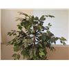 Image 2 : Artificial Tree in Straw Pot