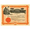 Image 1 : Chisna Consolidated Mines Co., 1907 I/U Stock Certificate.