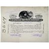 Image 1 : Carnegie Metals Co. 1928 Progress Proof Stock Certificate