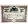 Image 1 : Chile Copper Co. 1910-20 Specimen Stock Certificate.