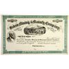 Image 1 : Salero Mining & Manufacturing Co., 18xx (ca.1870-80's) Unissued Stock Certificate With Henry Wells P