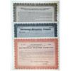 Image 1 : Interborough-Metropolitan Co. & Manhattan Transit Co. Specimen Stock Certificate Trio, ca. 1911-16